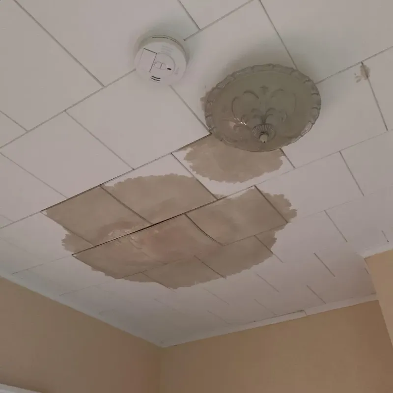 Ceiling Water Damage Repair in West Hartford, CT