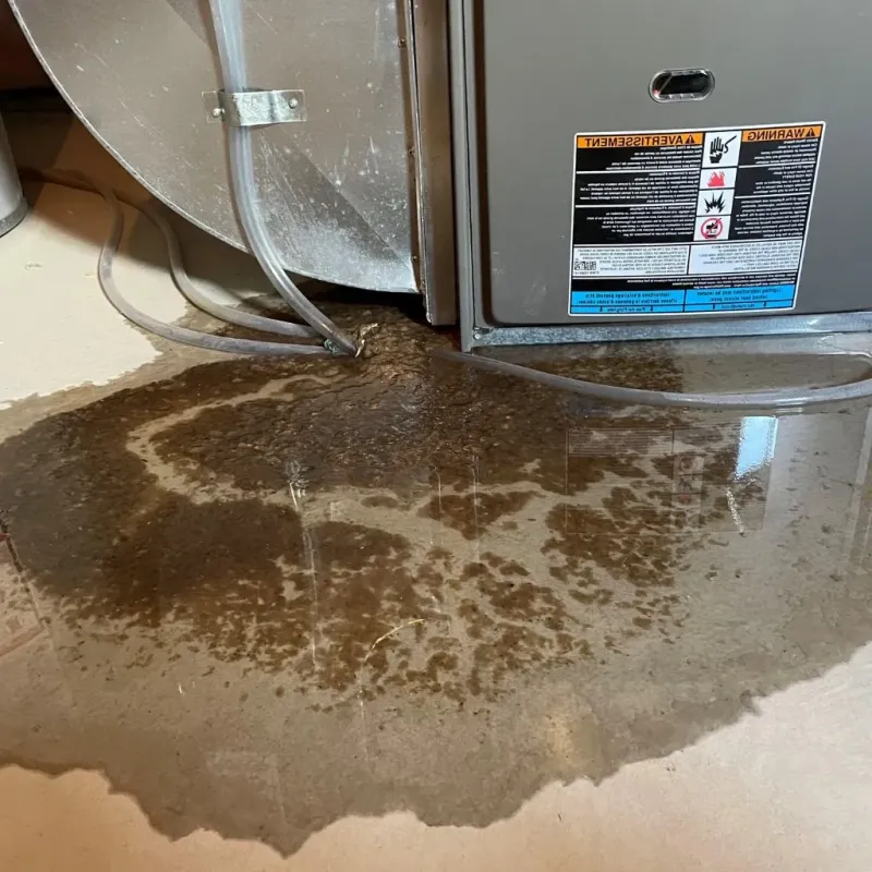 Pipe Burst and Leak Restoration in West Hartford, CT